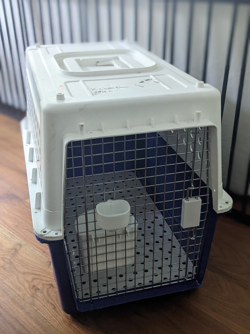 nylabone cat carrier