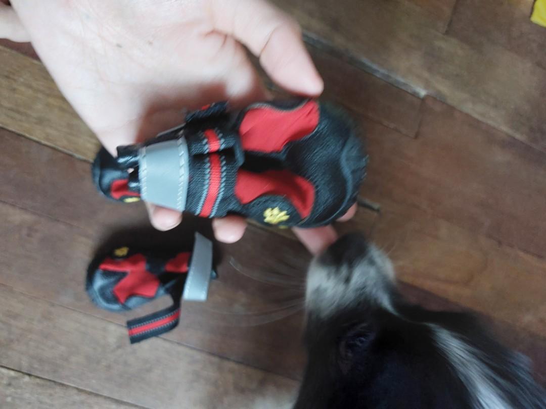 Non slip water resistant Dog boots (Category: Homes & Other Pet Accessories) located in Cebu City. Submitted by heartag (Listing ID 1139488247, Image 3). Description: never used. good for medium sized dogs. rfs. size too big for our dog.