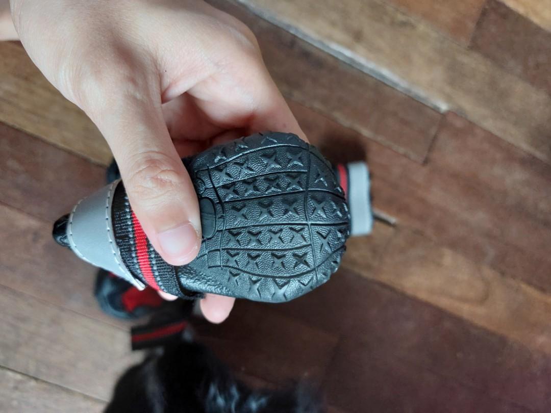 Non slip water resistant Dog boots (Category: Homes & Other Pet Accessories) located in Cebu City. Submitted by heartag (Listing ID 1139488247, Image 2). Description: never used. good for medium sized dogs. rfs. size too big for our dog.