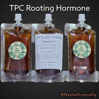 (Category: ) located in . Submitted by theplantconcept (Listing ID 1139472739, Image 1). Description: .