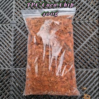(Category: ) located in . Submitted by theplantconcept (Listing ID 1139478587, Image 1). Description: .