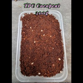 (Category: ) located in . Submitted by theplantconcept (Listing ID 1139478271, Image 1). Description: .