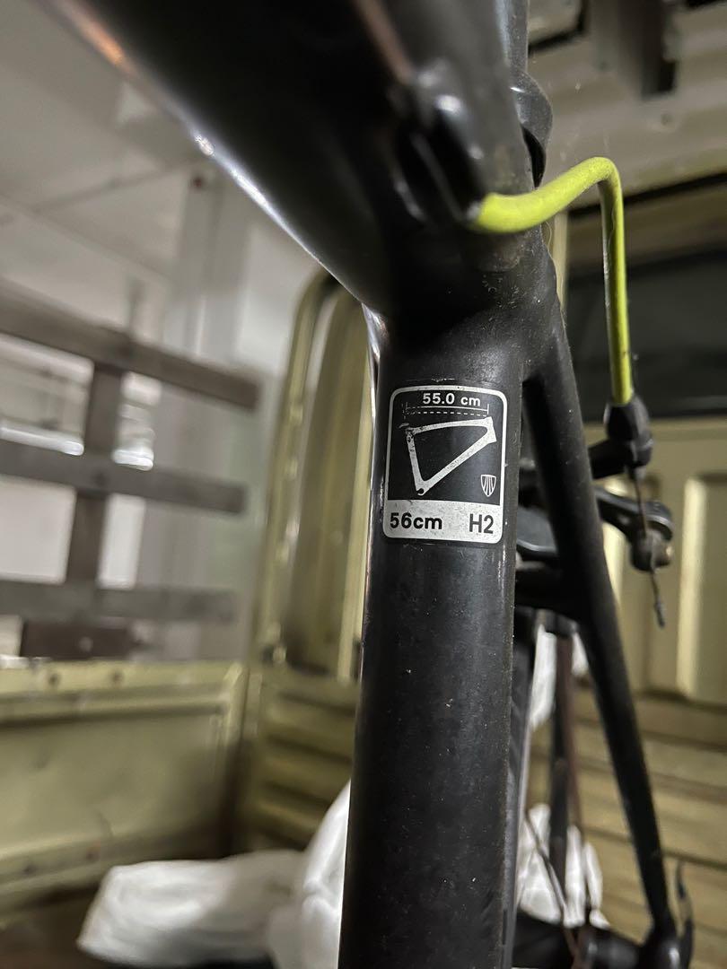 Trek alpha 2025 300