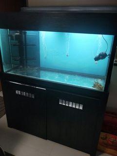 five star imported fish tank