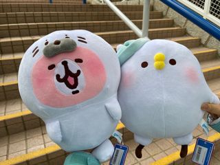 （分類：）位於 。 由 ttinginging 提交（商品編號 1139664804，圖片 1）。簡介： 。