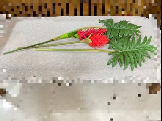 (Category: ) located in . Submitted by coco_mei (Listing ID 1139754769, Image 1). Description: .