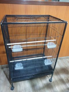 (Category: ) located in . Submitted by kavitha.vijayakumar.50 (Listing ID 1139782782, Image 1). Description: .