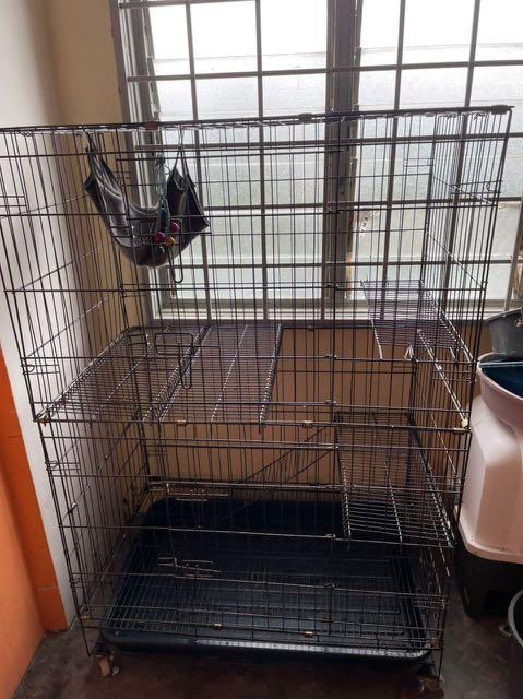 second hand pet supplies