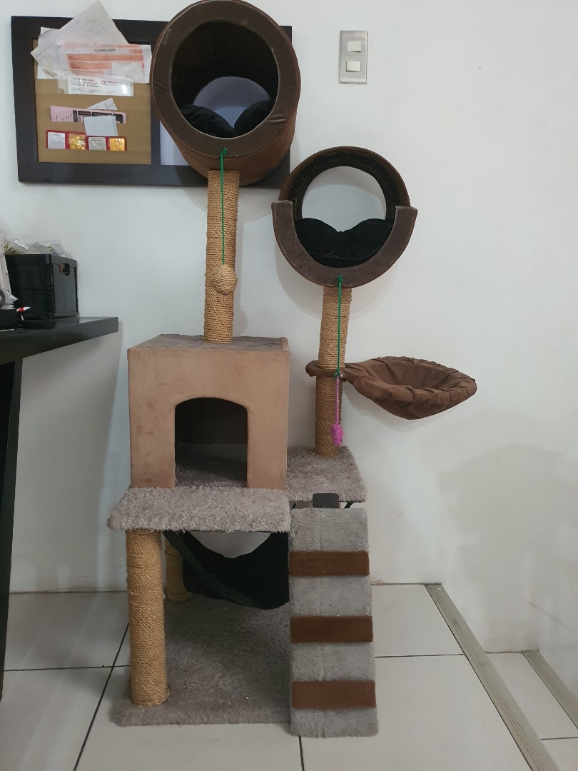 jual cat condo