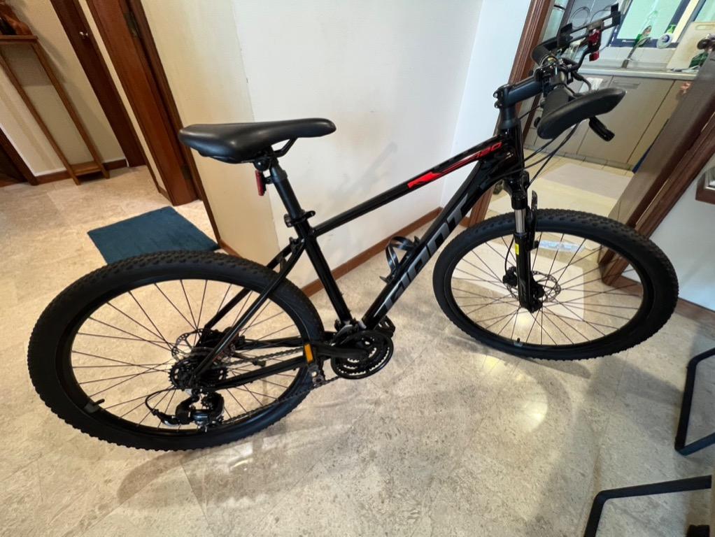 Giant 17 on sale frame