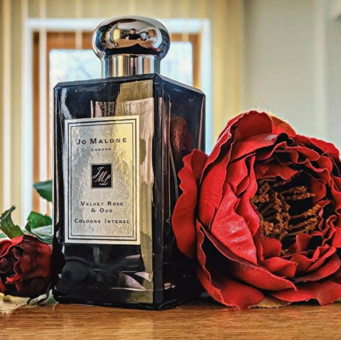 Miniature velvet rose best sale & oud