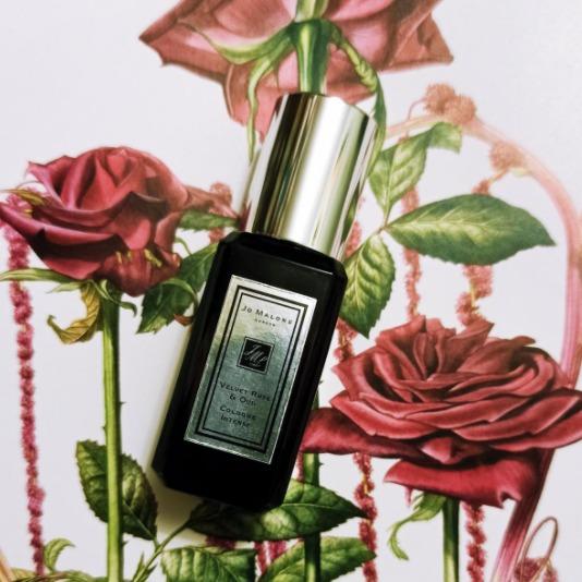 Miniature velvet rose & oud outlet