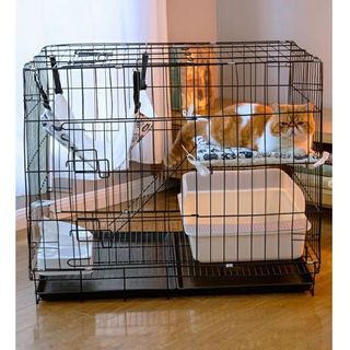 (Category: ) located in . Submitted by user444 (Listing ID 1139719089, Image 1). Description: .