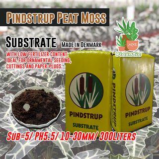 Pindstrup Peat Moss Substrate for Gardening