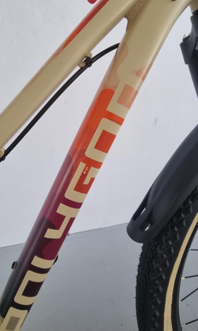 polygon cleo 2.0 2019