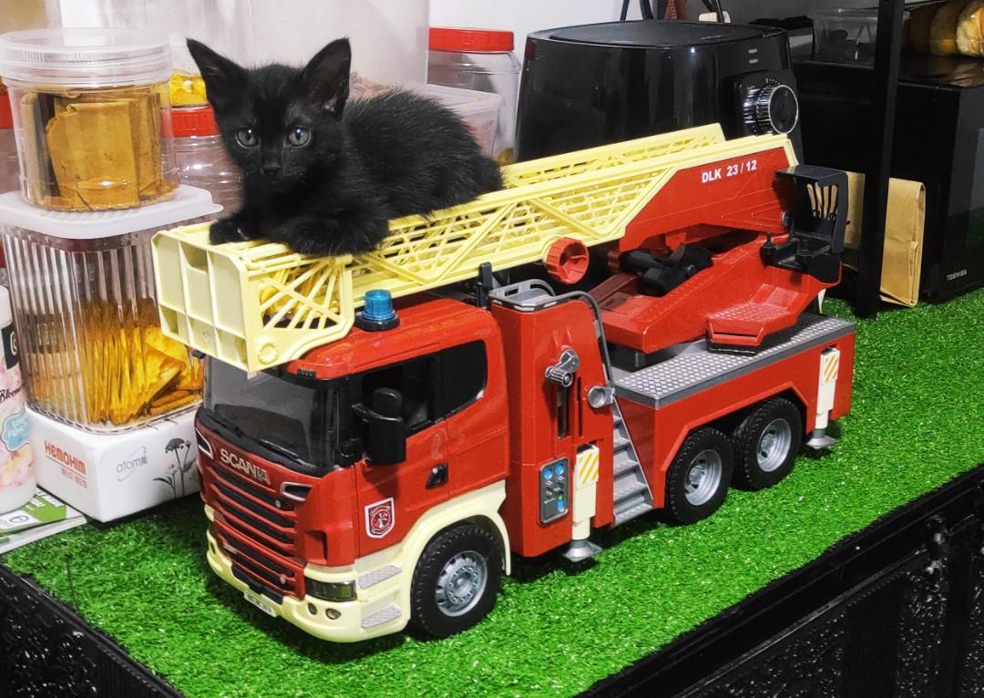 Bruder scania sale fire engine