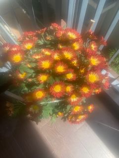 (Category: ) located in . Submitted by prees (Listing ID 1139904223, Image 1). Description: .