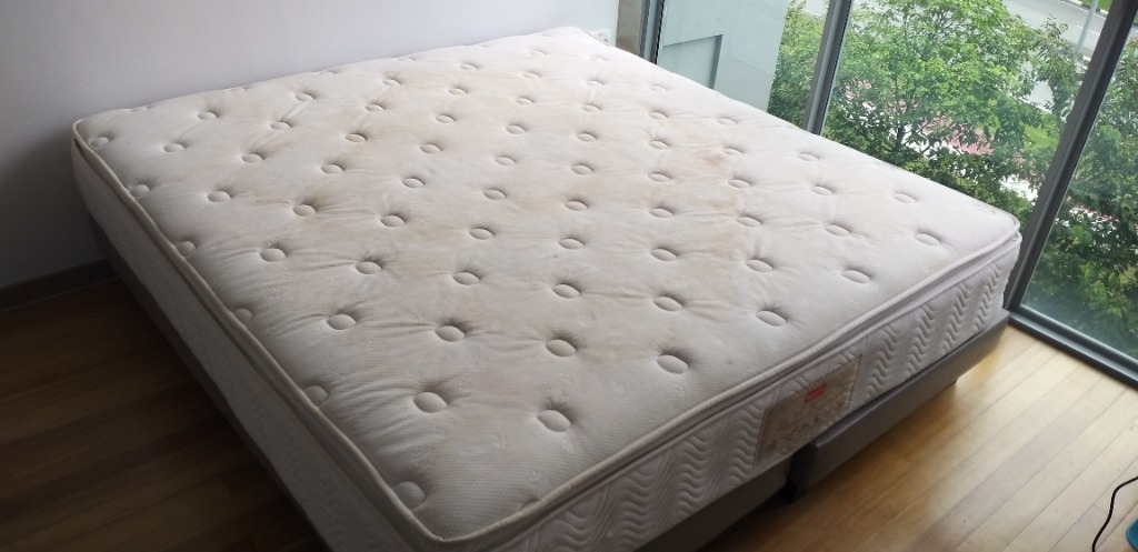 excelsior king-size mattresses