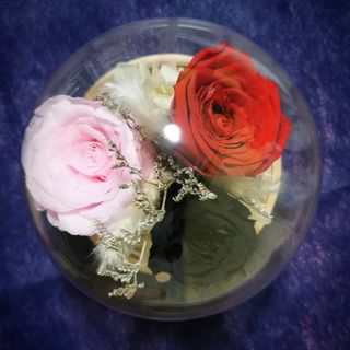 (Category: ) located in . Submitted by simply_lovve (Listing ID 1140031960, Image 1). Description: .