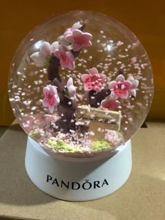 （分類：）位於 。 由 cstorem 提交（商品編號 1140017729，圖片 1）。簡介： 。