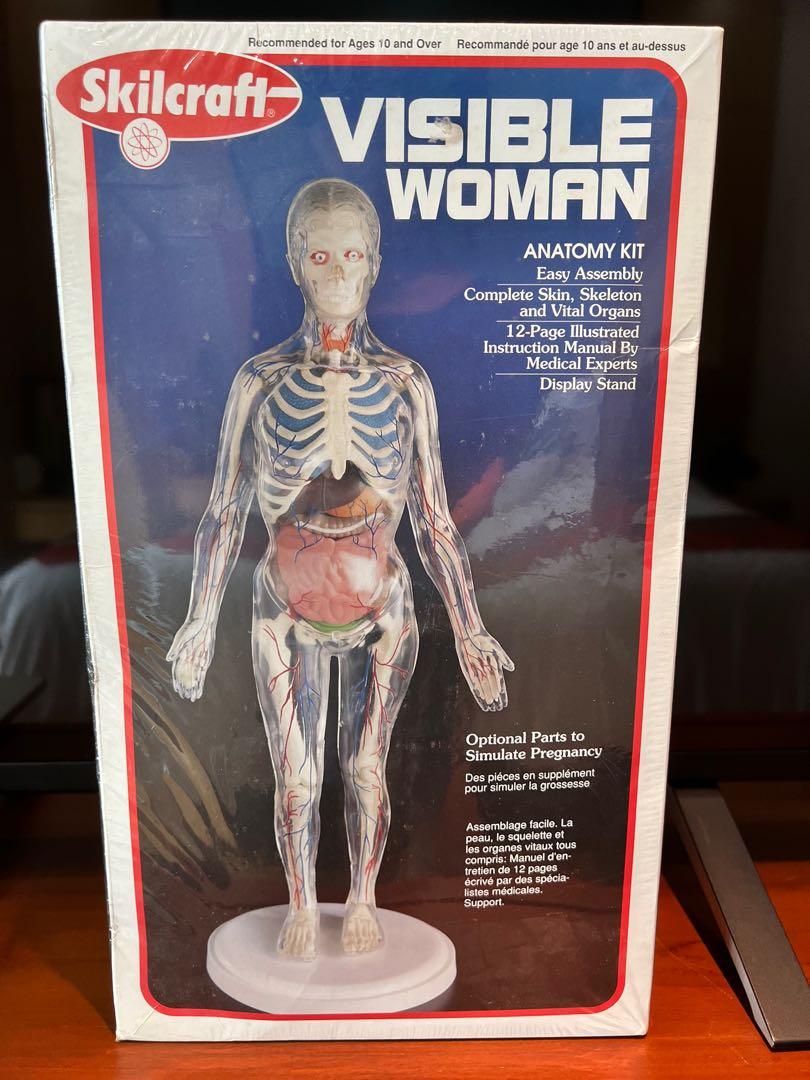 車スポーツカー飛行機バイク希少 Skil Craft Visible Woman Anatomy Kit