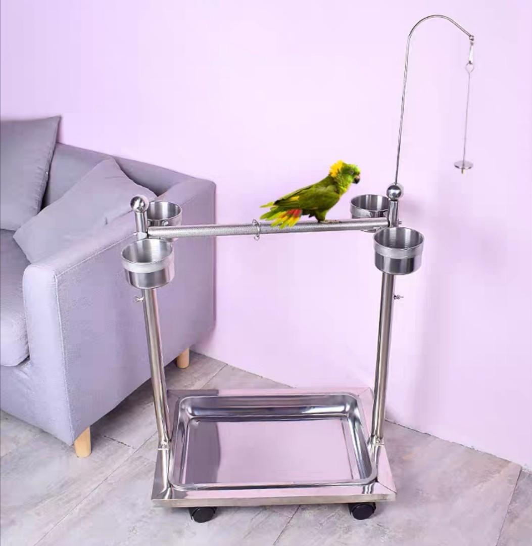 Stainless steel parrot stand. Brand New. come in i 19mm ii 25mm perch. Size 56 x 40cm Ideal for Sun conure conure quaker caique african