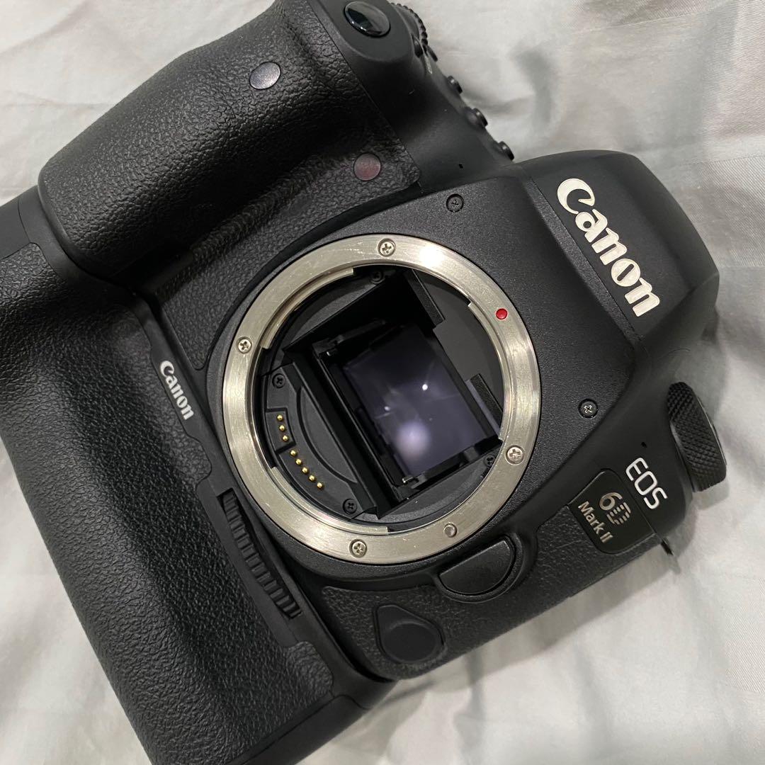 6D Mark ii Body + Battery Grip + 50mm f1.4 Lens, Photography, Cameras