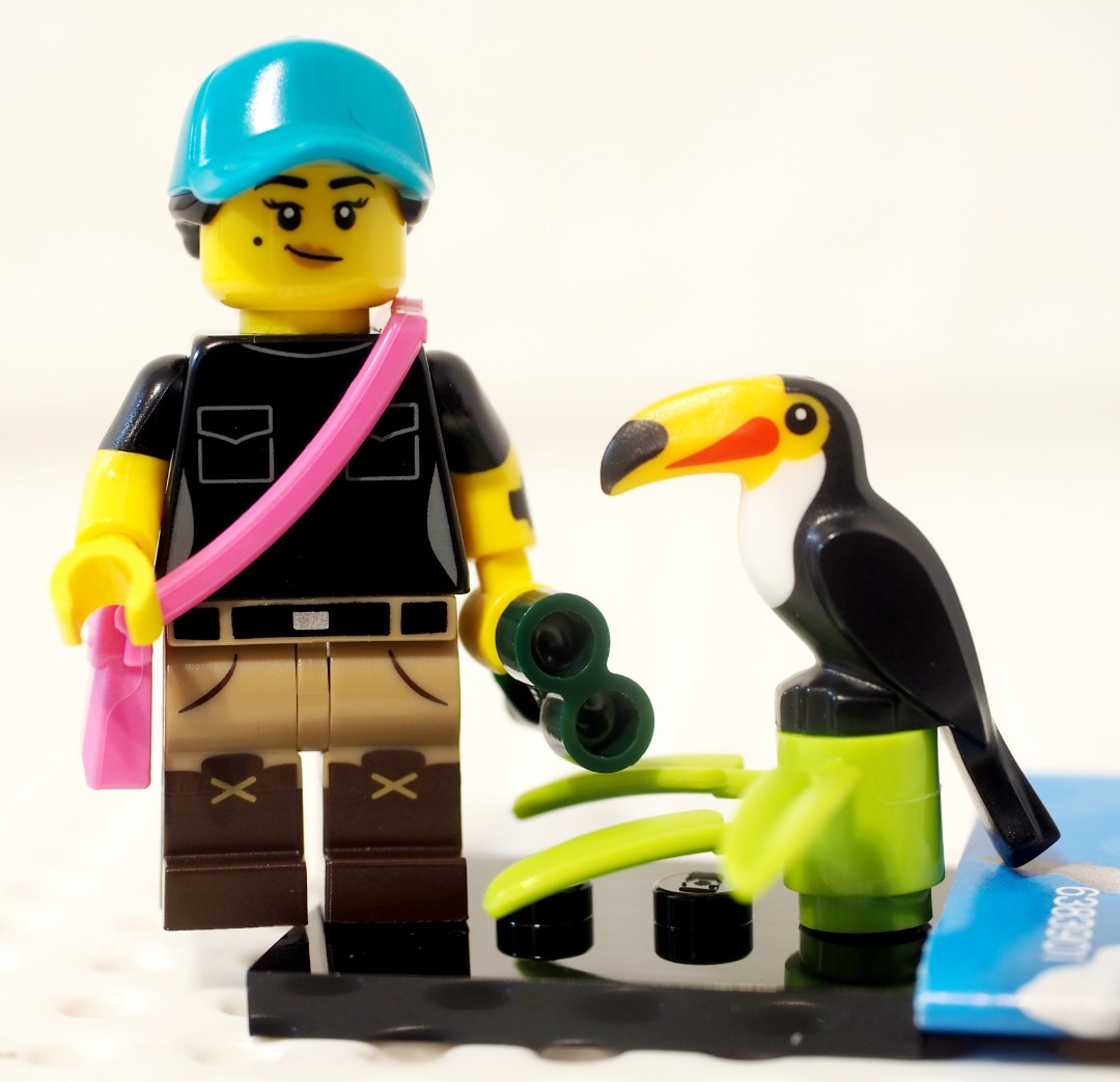 全新已開袋lego Series 22 S22 Minifigures 大嘴鳥 賞鳥人仔 有底板蛋紙 興趣及遊戲 玩具 遊戲類 Carousell