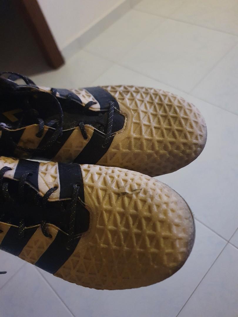 Predator 16.1 new arrivals