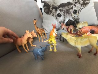 （分類：）位於 。 由 kshelbb 提交（商品編號 1140131002，圖片 1）。簡介： 。