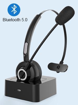 Sanfant bluetooth 2025 headset