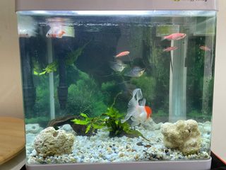 (Category: ) located in . Submitted by deerajks (Listing ID 1140071243, Image 1). Description: .
