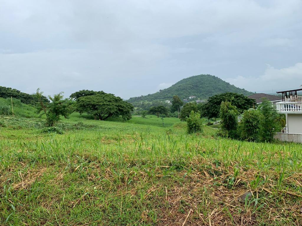 For Sale Ayala Greenfields Estate Residential Lot with Golf Course