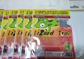 DPK Lizard Trap, Multicolour - 2 sets (contains 4 trap) : : Garden