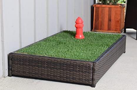Puppy porch potty sale