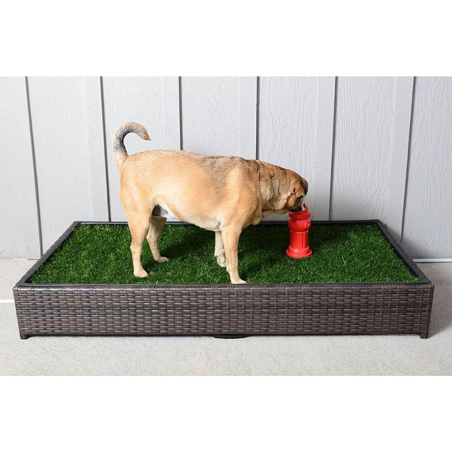 Porch potty for sales sale