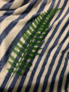 (Category: ) located in . Submitted by sabrinajudiam (Listing ID 1140221700, Image 1). Description: .