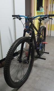 Specialized fuse 29