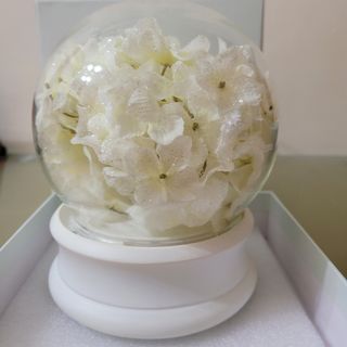 （分類：）位於 。 由 janichu 提交（商品編號 1140219330，圖片 1）。簡介： 。