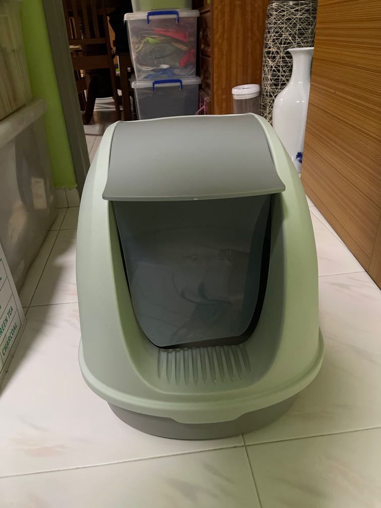 XL Litter Box, Pet Supplies, Homes & Other Pet Accessories on Carousell