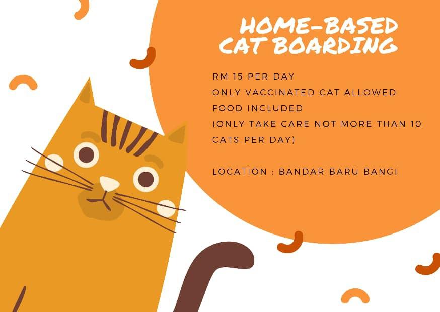 cat boarding home