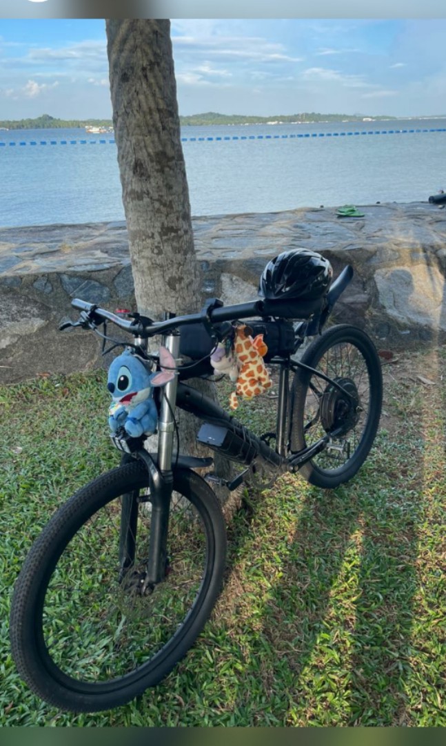 cheap emtb