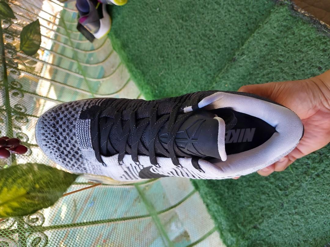kobe x shark jaw