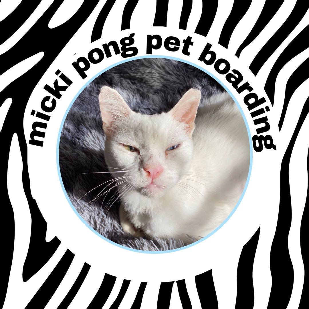 pet boarding supplies