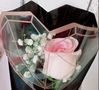 Single fresh rose 🌹 Valentine’s Day