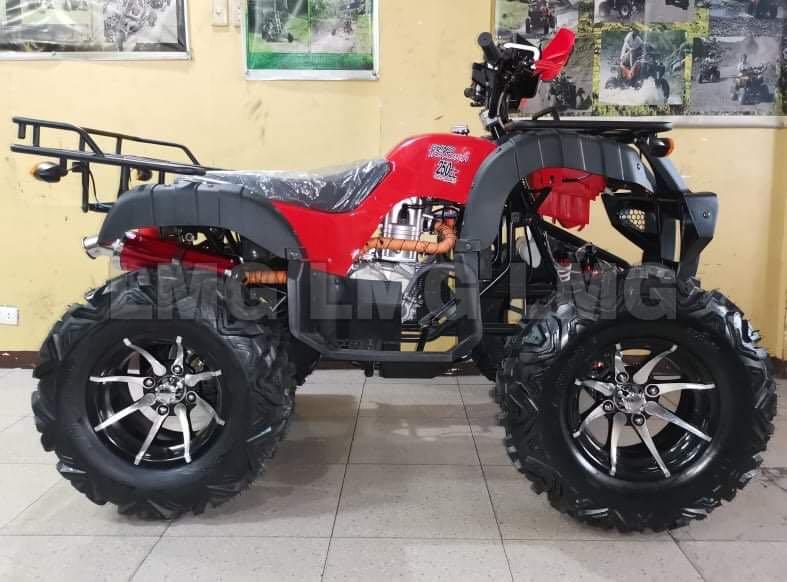 ATV Rhino 250cc MT Sports Equipment Sports Games Skates