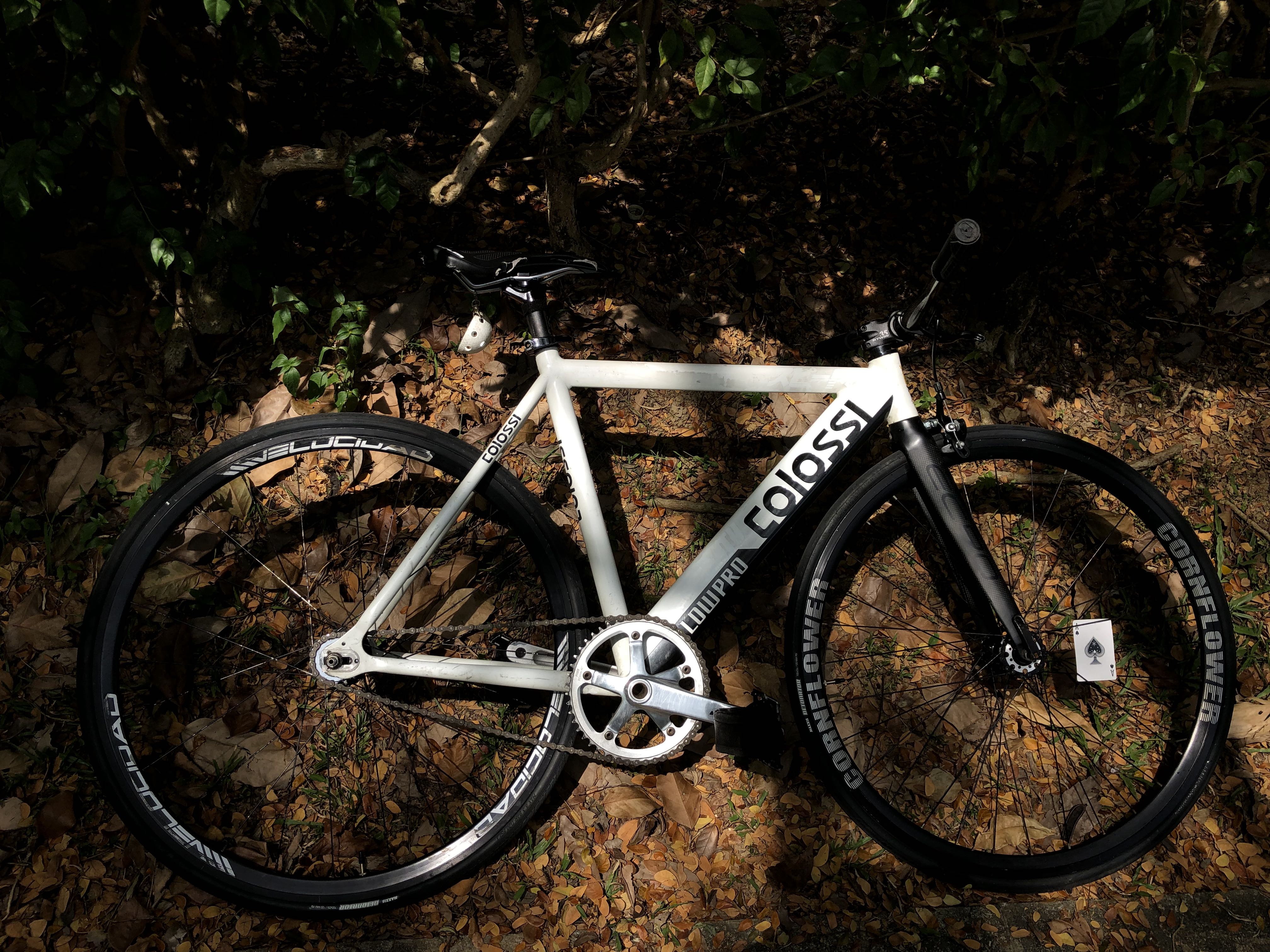 Colossi bike store