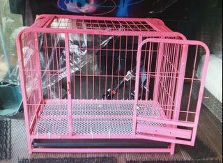 (Category: ) located in . Submitted by kolabae (Listing ID 1140613985, Image 1). Description: .