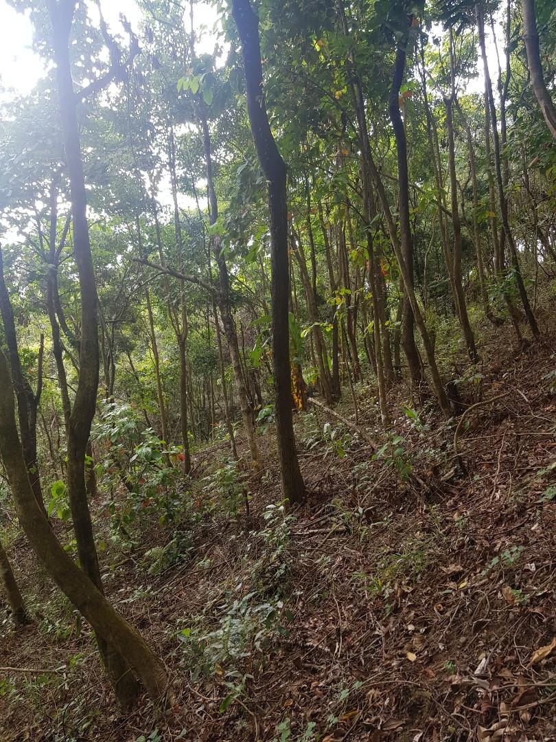 Lot for sale Avongan Homes Km8 Asin Road Tuba 8km from Baguio Town, Property, For Sale, Lot on