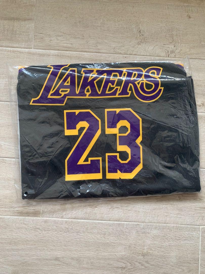 Nike NBA LeBron James Los Angeles Lakers 2021 Earned Edition Swingman Jersey
